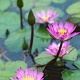 Hong Kong 2010